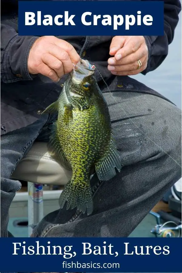 Black Crappie Fishing Tips