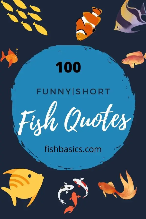 Funny Short fish quotes