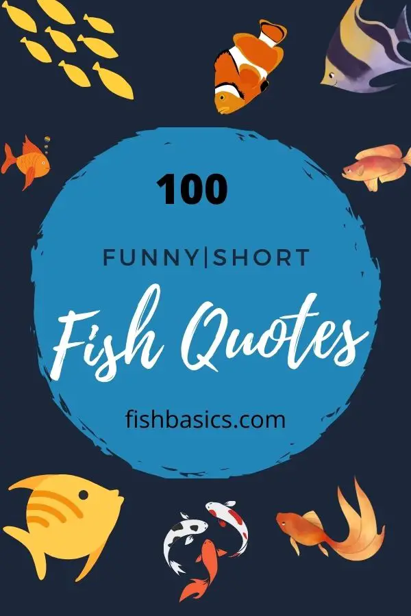 100 Funny Fish Quotes - Fishbasics