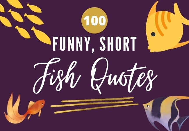 100 Funny Fish Quotes
