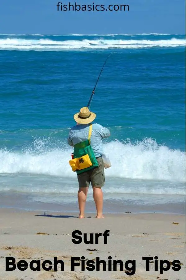 Surf Beach Fishing Guide Tips