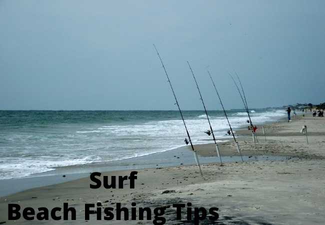 Surf Beach Fishing Tips