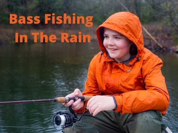 Bass Fishing In The Rain