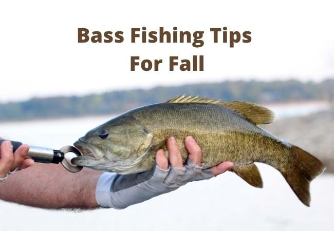 Bass Fishing Tips For Fall