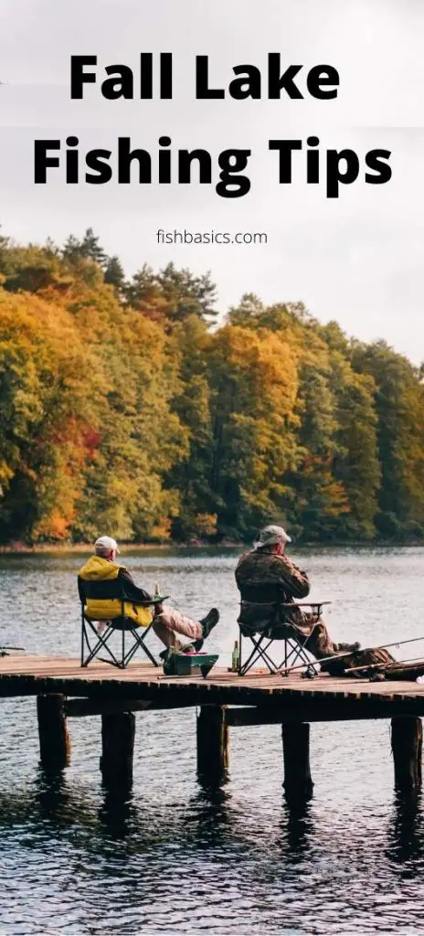 Fall Lake Fishing Tips and Tricks