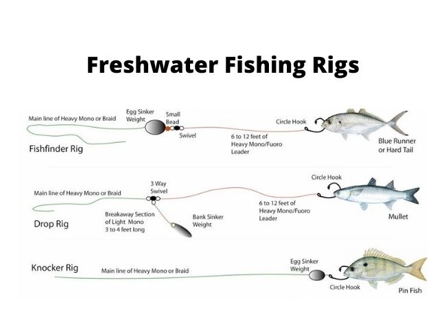 Freshwater Fishing Rigs Diagrams