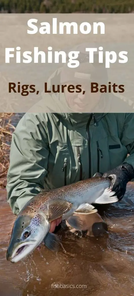 Salmon Fishing Tips rigs lures baits