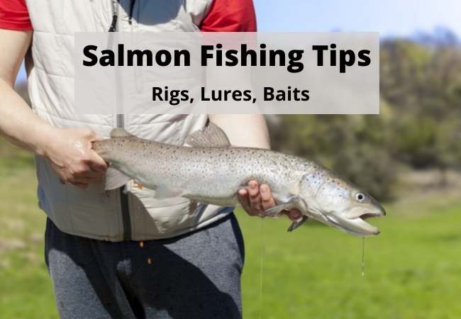 Salmon Fishing Tips, Rigs, Lures, Baits