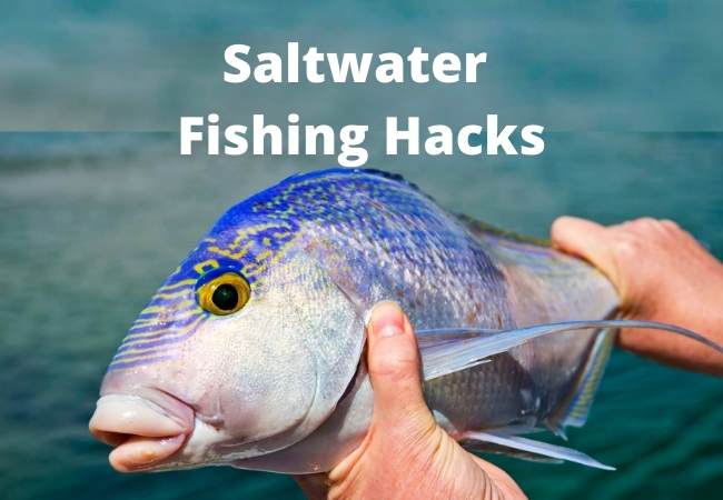 Saltwater Fishing Hacks
