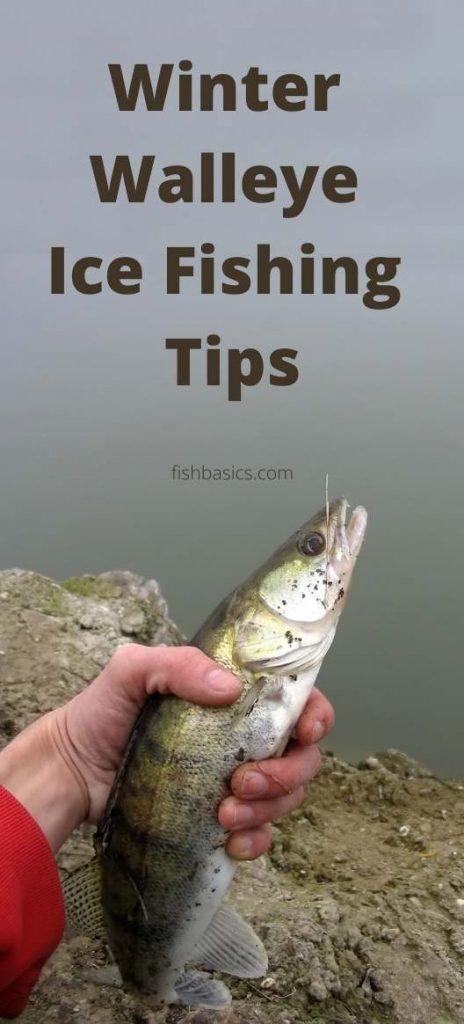Winter Walleye Ice Fishing Tips and Rigs