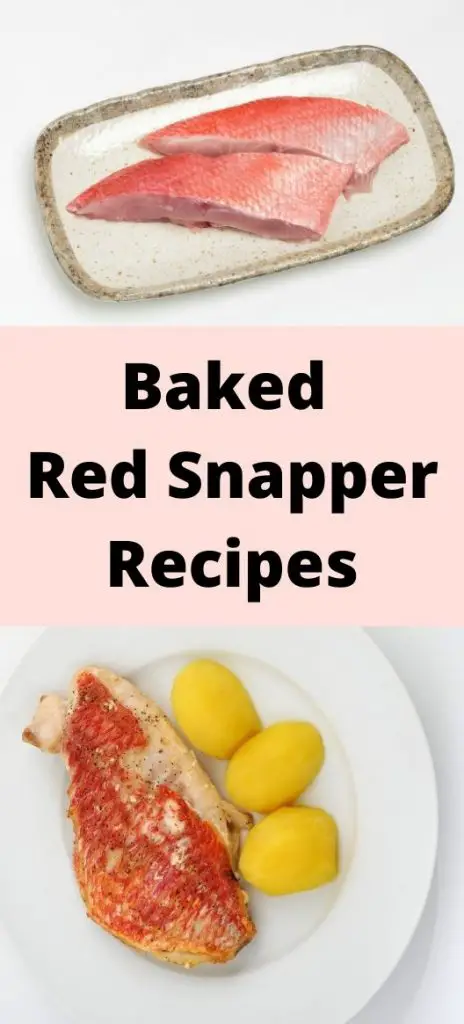 Baked Red Snapper Fillet Recipes