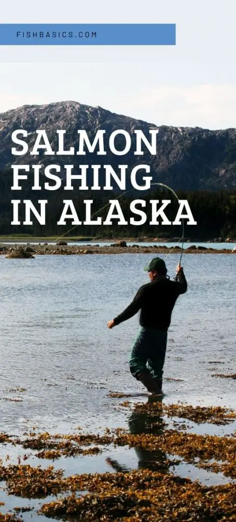 salmon fishing in Alaska guide