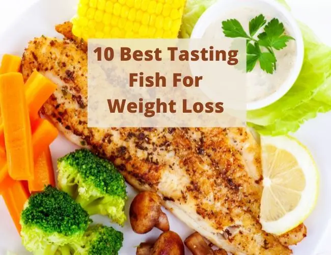 10 Best Tasting Fish For Weight Loss