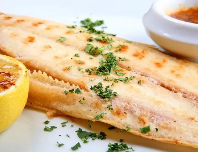 what-is-sole-fish-facts-and-taste-fishbasics