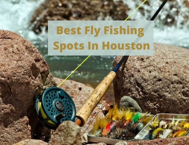 Best Fly Fishing Spots In Houston