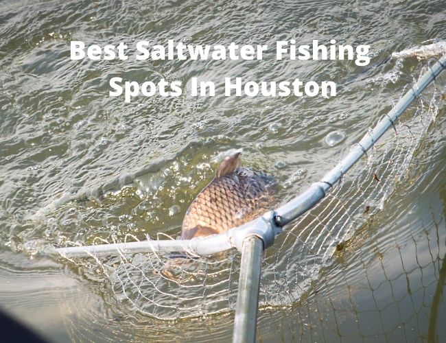 Best saltwater Fishing Spots In Houston