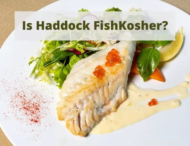 Is Haddock Kosher?