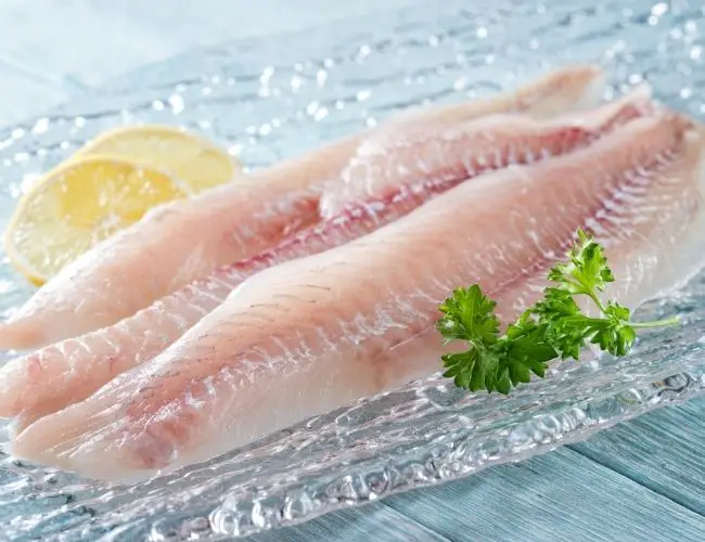 Is Haddock kosher and clean