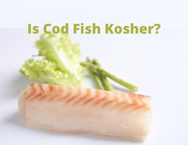 is cod fish kosher